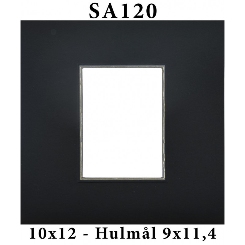 SA12010x12-38